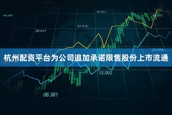 杭州配资平台为公司追加承诺限售股份上市流通