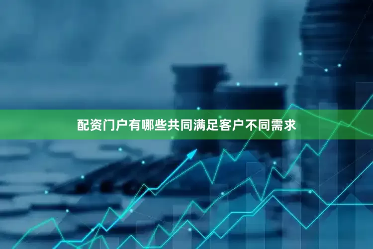 配资门户有哪些共同满足客户不同需求