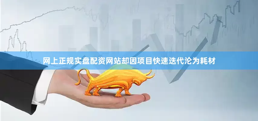 网上正规实盘配资网站却因项目快速迭代沦为耗材
