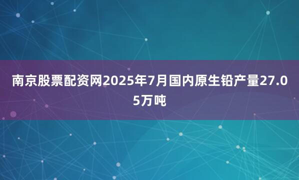 南京股票配资网2025年7月国内原生铅产量27.05万吨